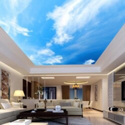 Ceiling Roof Wallpaper Service Mumbai by Mural Art