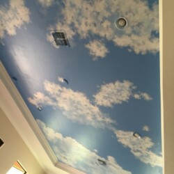 Ceiling Roof Wallpaper Service Mumbai by Mural Art