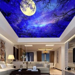 Ceiling Roof Wallpaper Service Mumbai by Mural Art